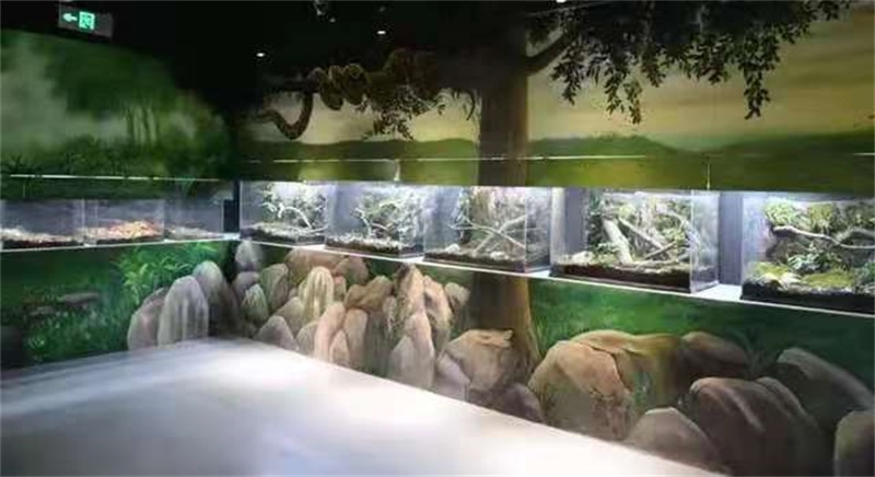 两栖爬虫展