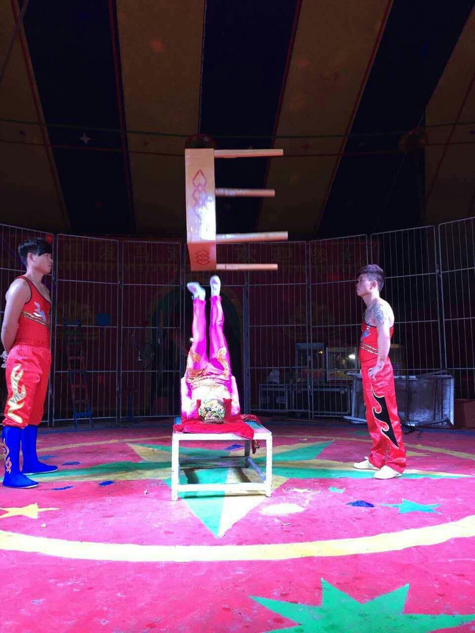 杂技表演